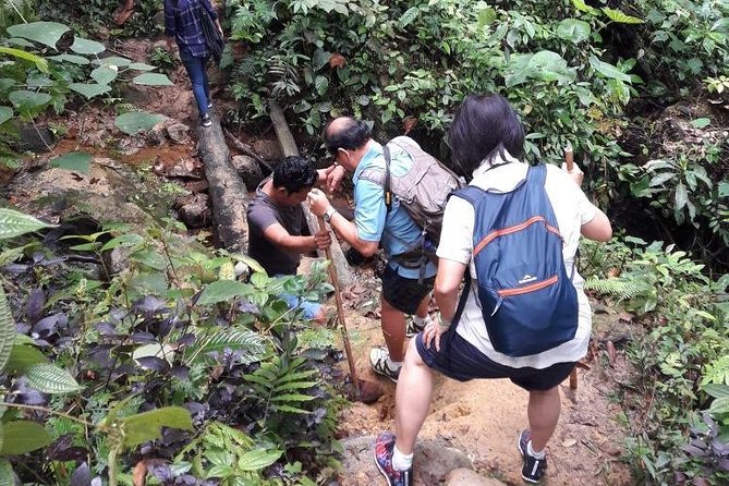 Medan - Bukit Lawang Fullday Tour - Medan to Bukit Lawang: A 12-hour day with a clear wildlife mission
