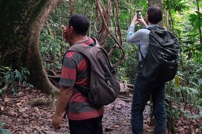 Medan - Bukit Lawang Fullday Tour - Who this tour fits best (and who should think twice)