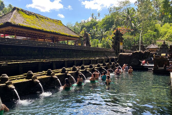 Melukat Ceremony and Temple Tour at Tirta Empul Temple - A private tour for your group, with room for real questions