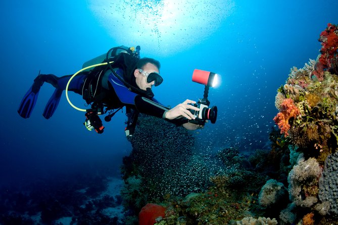 Menjangan island for Certified Scuba Divers full day boat trip, 2 dives + lunch - Should you book this Menjangan 2-session boat trip?
