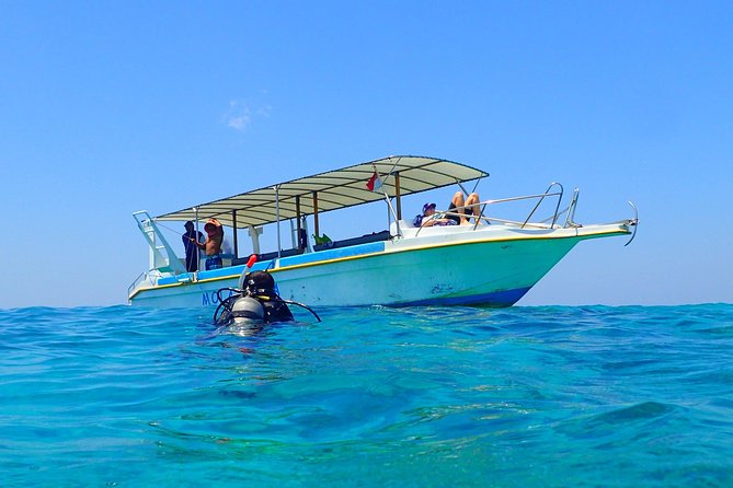 Menjangan island for Certified Scuba Divers full day boat trip, 2 dives + lunch - The boat day basics: timing, travel time, and group size