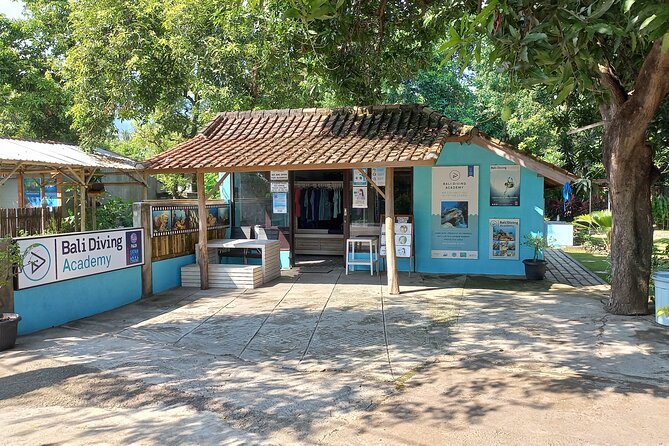 Menjangan island snorkeling full day boat trip - Small group, multiple languages: comfort and communication matter