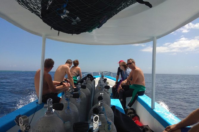 Menjangan island snorkeling full day boat trip - Getting there from Pemuteran: fast boat, simple rhythm
