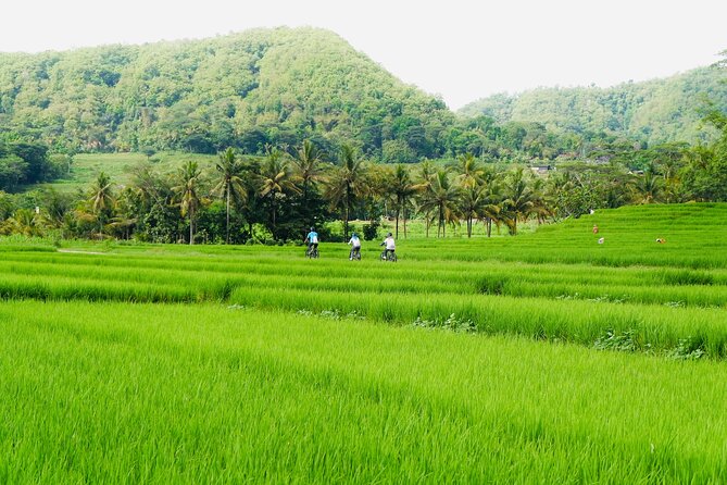Menoreh Village Cycling - The MOANA Nanggulan basecamp start, and how the first ride leg sets you up