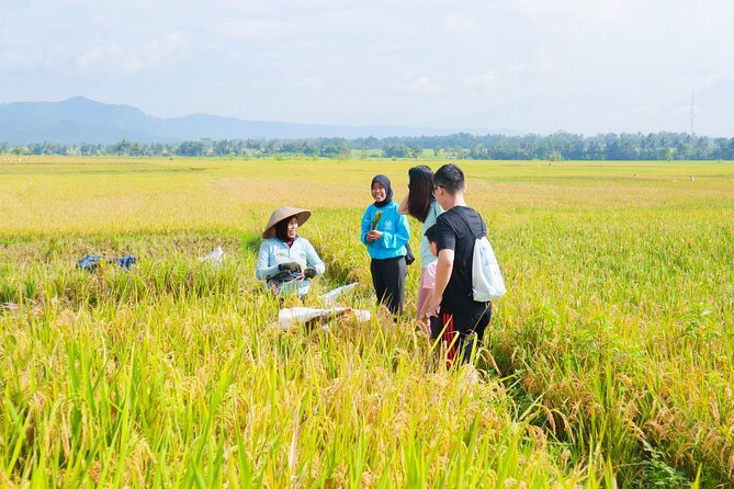 Menoreh Village Cycling - What you eat on the bike tour, and why it is part of the point