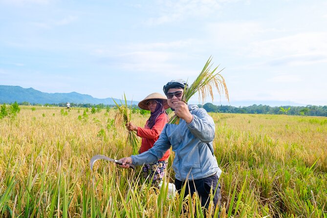 Menoreh Village Cycling - When to choose this tour over other Yogyakarta activities