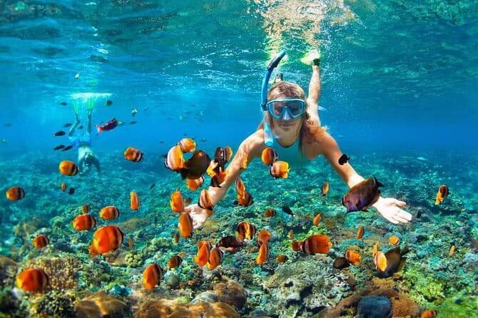 Monkey Bar and snorkling adventure at blue lagoon. - Monkey Bar Time: Lunch, Views, and a Pool Reset