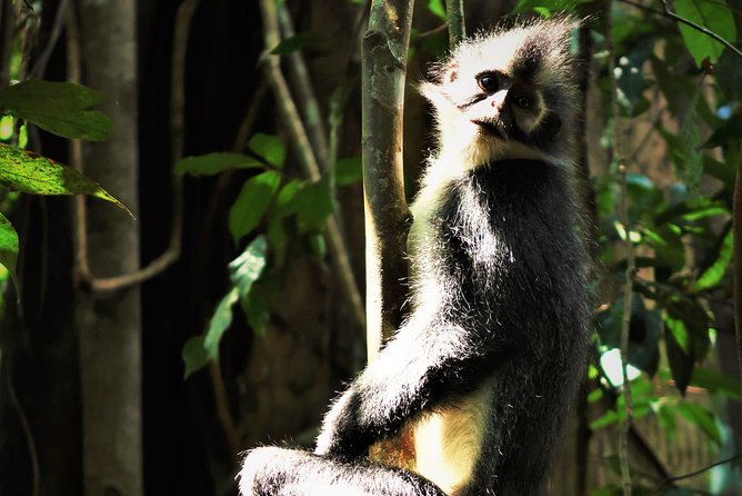 Monkey Business 2 days - 1 night Jungle Trekking (including rafting) - Rafting on the Route: The Best Way to Cool Off