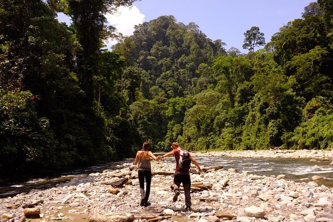 Monkey Business 3 days - 2 nights Jungle trekking (including rafting) - Day 2: jungle mornings, breakfast breaks, wildlife time, and rafting