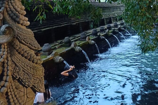 Monkey Forest, Holy Water Temple & Hot Springs Tours - Key things that make this tour work well