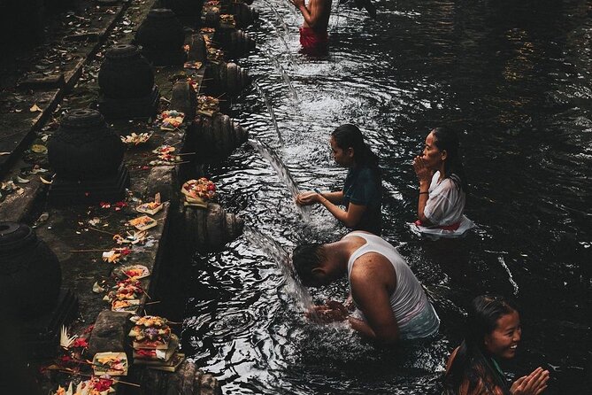 Monkey Forest, Holy Water Temple & Hot Springs Tours - Aloha Ubud Swing: optional, great photos, but plan for the cost