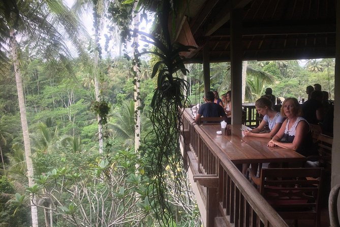 Monkey Forest, Ubud, Waterfall and Rice Terrace - How this private Ubud day really works with your driver