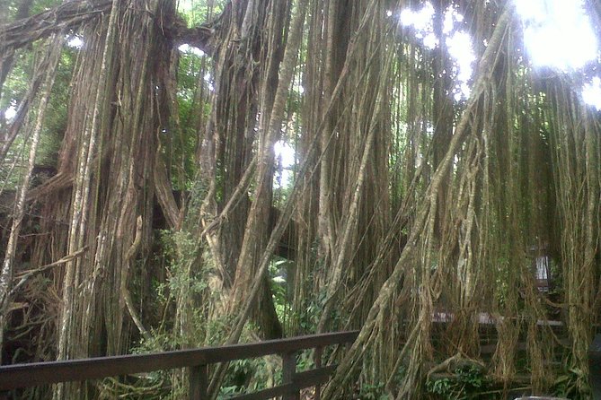 Monkey Forest, Ubud, Waterfall and Rice Terrace - Ubud Art Market: crafts, shopping speed, and what to look for