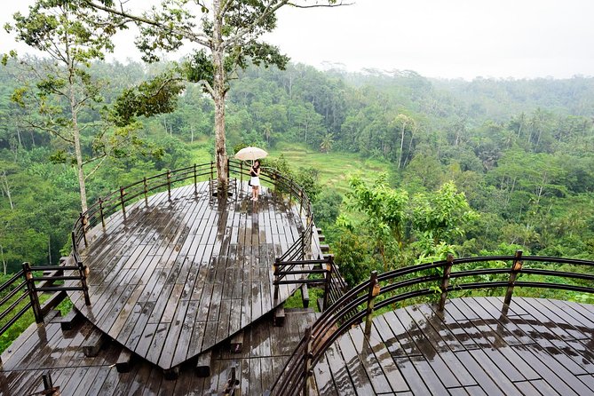 Monkey Forest, Ubud, Waterfall and Rice Terrace - Uma Pakel Agro Tourism: coffee learning with civet coffee focus