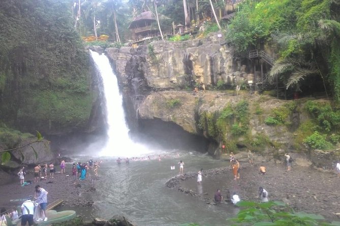 Monkey Forest, Ubud, Waterfall and Rice Terrace - Celuk Village: gold and silver craft that you can actually see