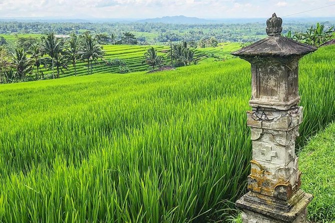 More Complete: Discover Bali In 3 Days Private Tour Package - Guides, timing, and why this tour feels low-stress
