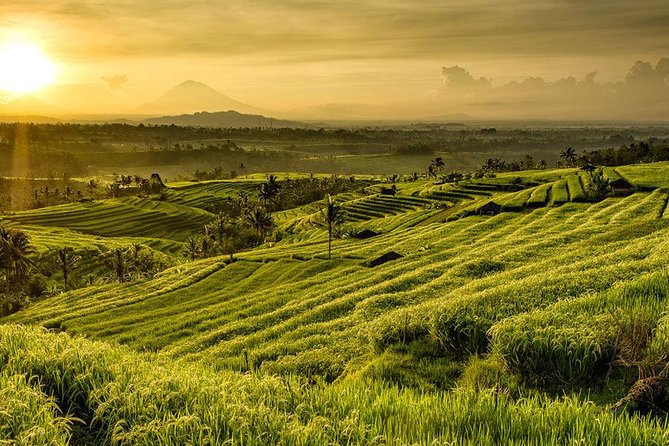 More Complete: Discover Bali In 3 Days Private Tour Package - Who this tour suits best, and who should skip it