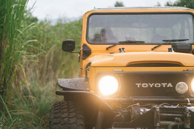 Mount Batur Black Lava Jeep Tour with Pickup - How Much $40 Gets You, and Whether It Feels Like Value