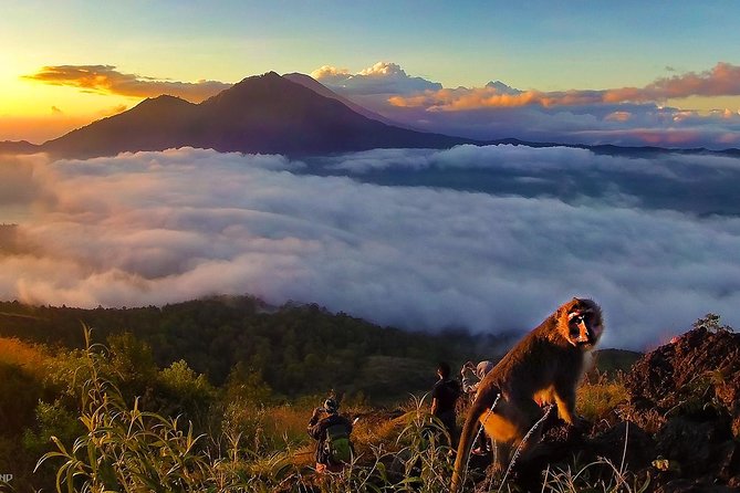 Mount Batur Sunrise Trekking With Breakfas - Price and value: $59.94 with gear, transport, and entrance fees covered