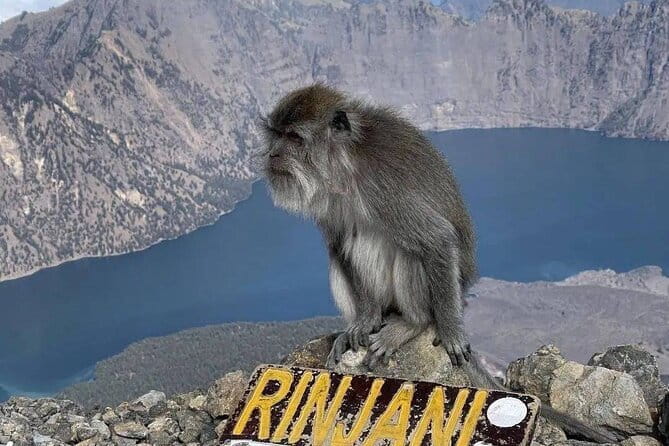 Mount Rinjani 2D 1N trekking to summit - Camp Comfort and the Gear Checklist That Actually Prevents Problems