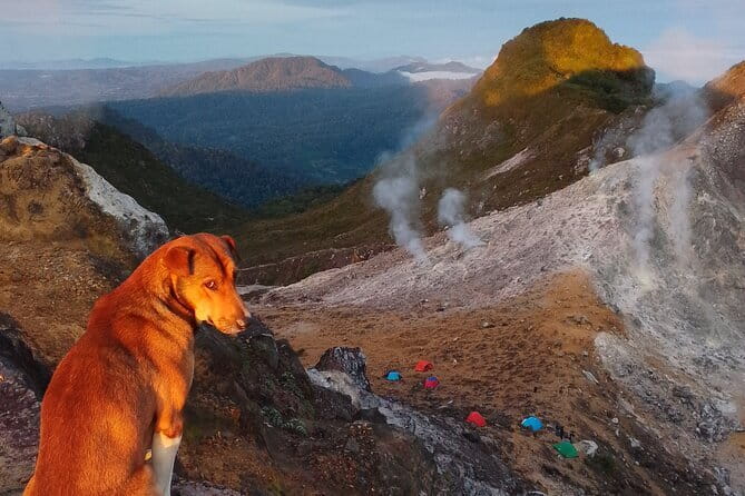 Mount Sibayak Sunrise Hike from Medan - Who should book this Mount Sibayak day trip