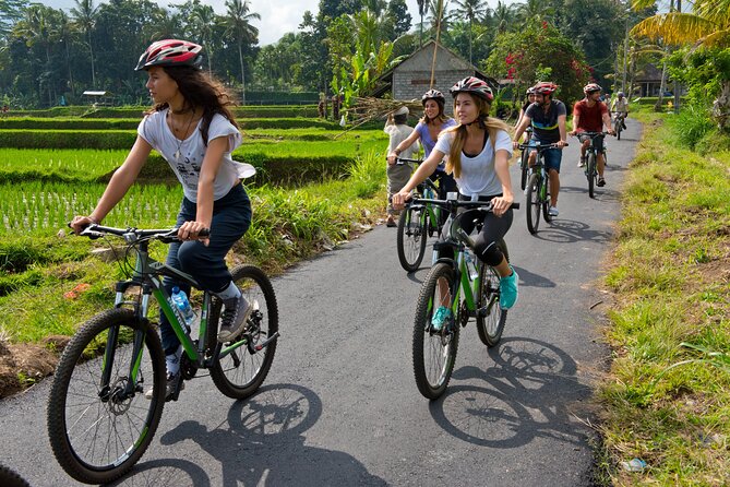Mountain Cycling Tour - What this Bali cycling day really feels like