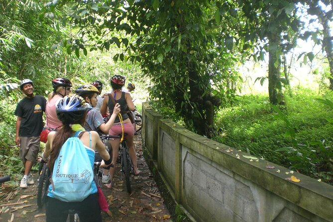 Mountain Cycling Tour - Lunch at the end: plan around a gourmet meal, not extra drinks