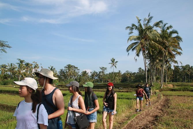 Mt Batur Sunrise Jeep & Natural Hot Spring Tour - Pickup From Ubud and Small-Group Comfort That Actually Helps