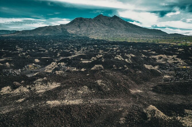 Mt Batur Sunset 4WD Jeep Tour - The optional coffee plantation stop on the way