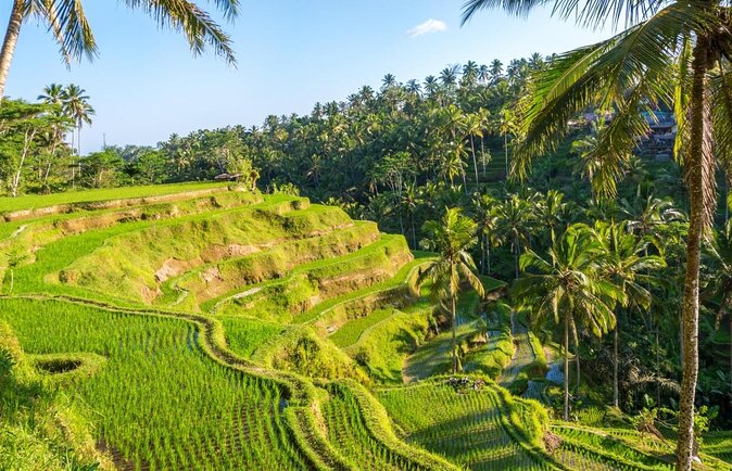 natural holy waterfalls healing tour. - Key highlights you’ll actually notice