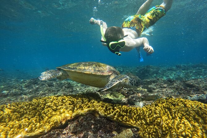 No:#1. Penida Island Tour And Snorkeling With Manta - Snorkeling Gear, Life Jackets, and a Practical Safety Check