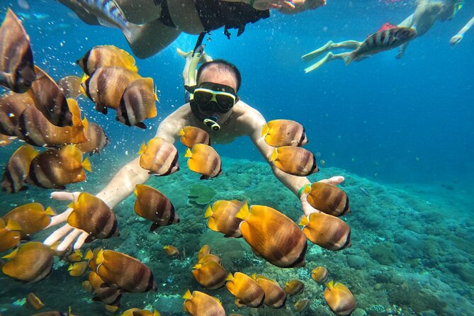 No:#1. Penida Island Tour And Snorkeling With Manta - Price and Value: Is $67.75 a Smart Deal?