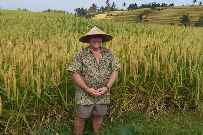 North Bali Private Tour - All Inclusive - Handara Iconic Gate: the mountain backdrop photo stop