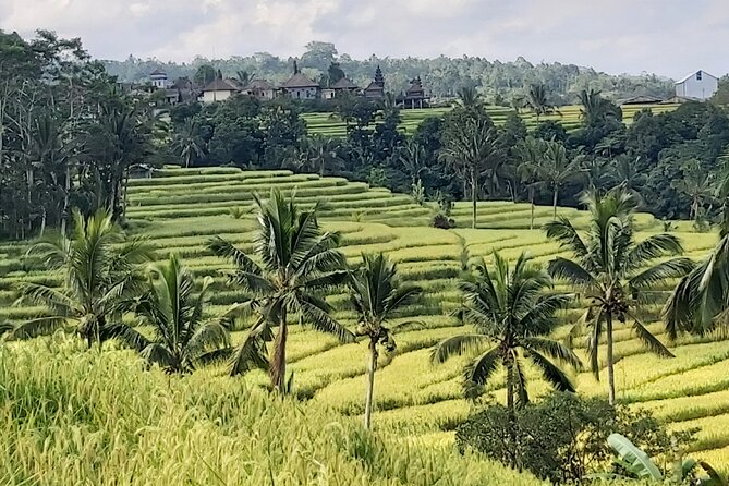 North Bali Private Tour - All Inclusive - Twin Lake View: quick viewpoint energy between major stops
