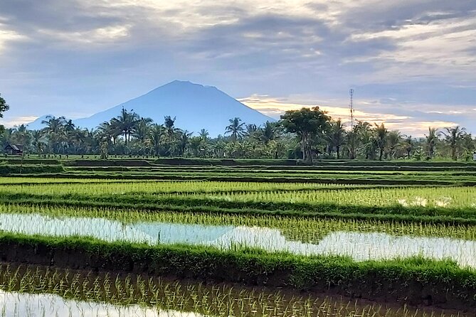 North Bali Private Tour - All Inclusive - The driving, the timing, and why your guide matters more than you think