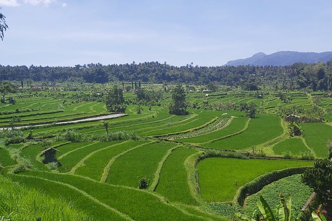 North Bali Private Tour - All Inclusive - Ulun Danu Bratan: lakeside temple views that look like a postcard