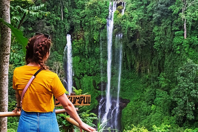 North Bali: Sekumpul Waterfalls and Ulun Danu Temple Tour - Stop 3: Taman Ayun Water Temple, a UNESCO Heritage Stop