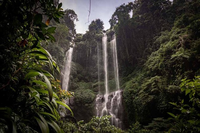 North Bali Tour: Banyumala Waterfall & Wanagiri Hidden Hills - Key Points That Matter