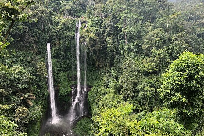North Bali Tour: Banyumala Waterfall & Wanagiri Hidden Hills - Price and Value for a $80 Private Day