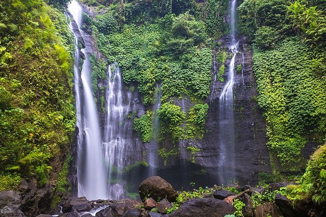 North Bali Tour: Banyumala Waterfall & Wanagiri Hidden Hills - Start Smart: The 8:00 am Plan and How It Feels