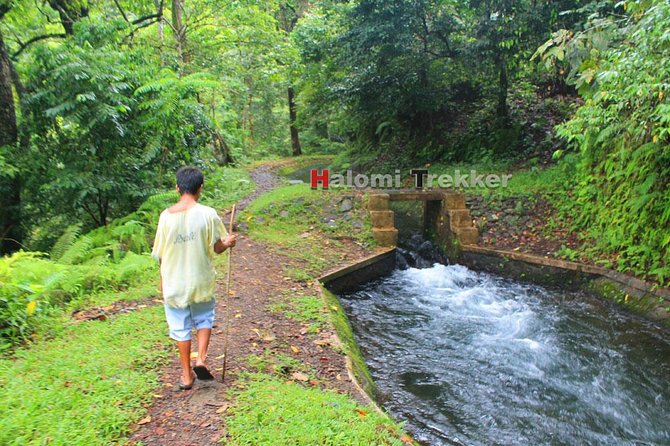 North Lombok Waterfalls - Getting there: HaLoMi Trekker base and pickup options