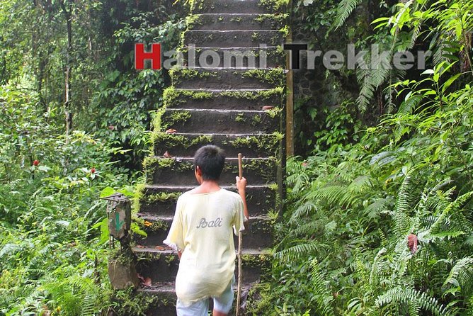 North Lombok Waterfalls - Stop by stop: from the Mount Rinjani area to Sindang Gila