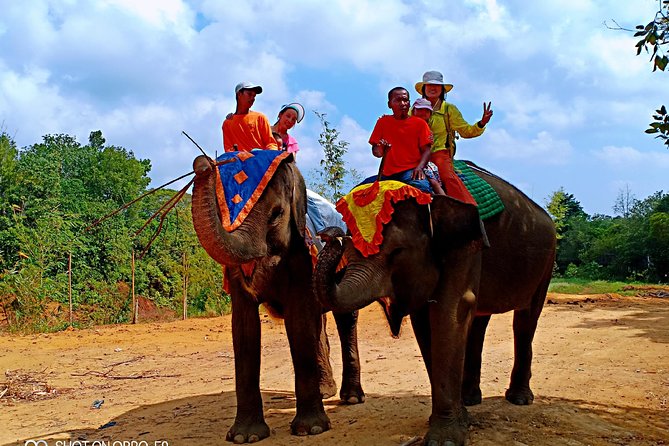 Northern Bintan Full Day Tour - Mangrove Discovery Tour: slow boat, big wildlife odds