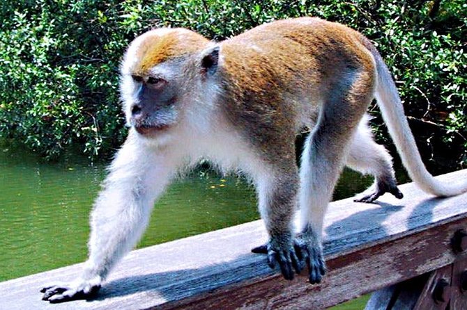 Northern Bintan Full Day Tour - Bintan Sand Dunes and Blue Lake: scenery that earns the photos