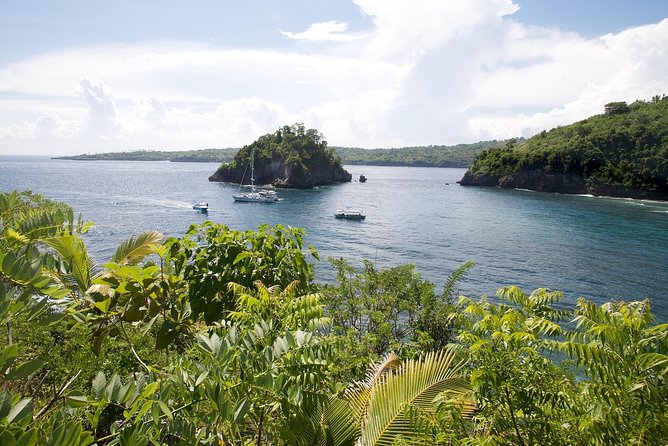 Nusa Lembongan: Island Discovery Cruise - Crystal Bay snorkeling: what you’ll do and how it’s supported