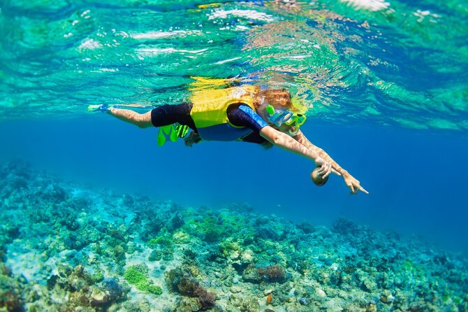 Nusa Lembongan Island: Snorkeling & Mangrove Forest Day Tour - Nusa Lembongan is the perfect “one-day island” escape from Bali