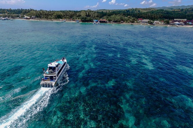 Nusa Lembongan Island: Snorkeling & Mangrove Forest Day Tour - Value check: what $143 gets you (and where it might fall short)