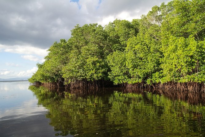 Nusa Lembongan Island: Snorkeling & Mangrove Forest Day Tour - Getting there from Kuta: speedboat timing that shapes the whole day