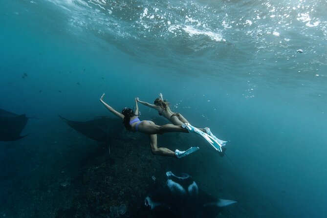 ️Nusa Penida by Private Boat - Snorkeling 4 spots, Swim with Mantas + Land Tour - Key highlights worth your attention