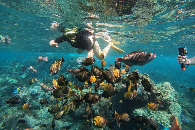 Nusa-Penida customize Tour - All inclusive - Stop by stop on the west route: cliffs, broken beaches, and Angel’s Billabong